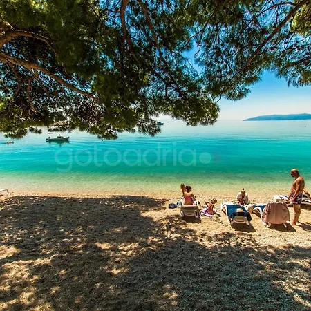 Beachfront Deluxe Bed & Breakfast